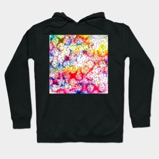 Pattern maze Hoodie